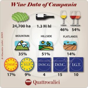 campania wine facts