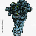 The Kékfrancos Wine Grape in Italy