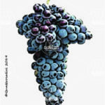 The Frappato Wine Grape in Italy