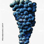 The Gosen Wine Grape in Italy