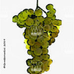 The Greco Bianco Wine Grape in Italy
