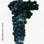 The Groppello di Santo Stefano Wine Grape in Italy