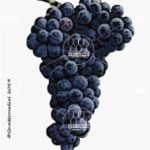 The Lacrima Wine Grape in Italy