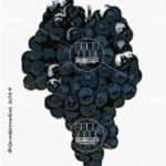 The Lagrein Wine Grape in Italy