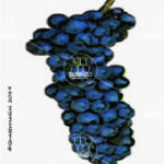 The Lambrusco Viadanese Wine Grape in Italy