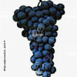 The Lecinaro Wine Grape in Italy