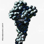 The Malvasia nera di Lecce Wine Grape in Italy