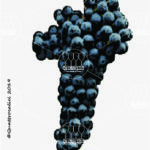 The Marzemino Wine Grape in Italy