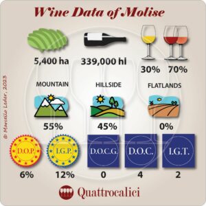 Wine figures of Molise