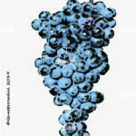 The Nero buono Wine Grape in Italy