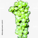 The Nosiola Wine Grape in Italy