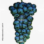 The Oseleta Wine Grape in Italy