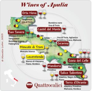 Wines in Apulia
