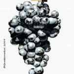 The Terrano Wine Grape in Italy