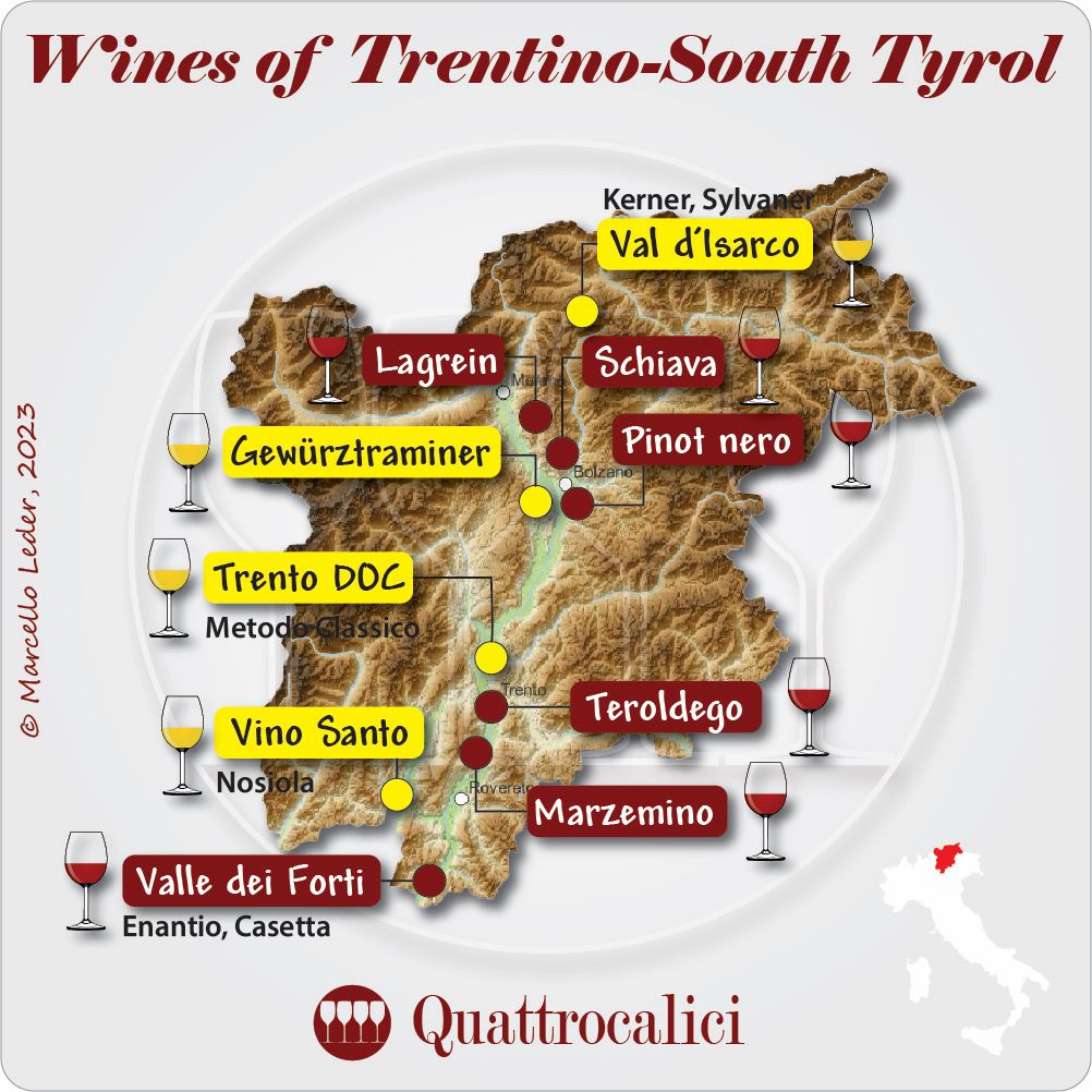 wines of trentino-south tyrol