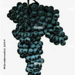 The Uva Longanesi Wine Grape in Italy