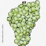 The Bussanello Wine Grape in Italy