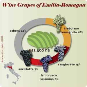 Wine Grapes of Emilia-Romagna