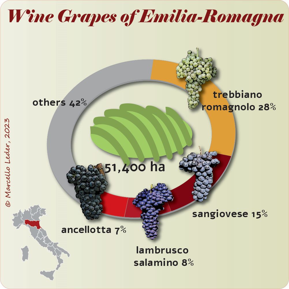 Wine Grapes of EmiliaRomagna Quattrocalici