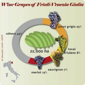 Wine grapes of Friuli Venezia Giulia