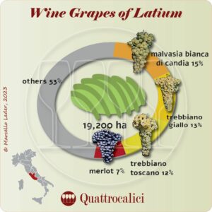 Wine grapes of Latium (Lazio)