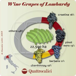 Wine Grapes of Lombardy