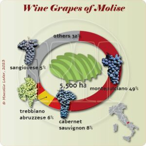 Wine grapes of Molise