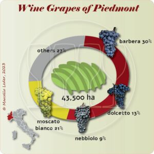Wine grapes of Piedmont