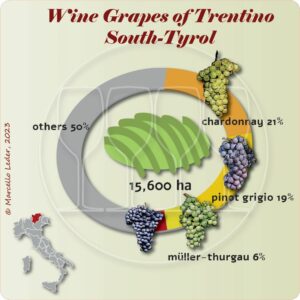 Wine grapes of Trentino-South Tyrol