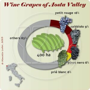 Wine grapes of Aosta Valley
