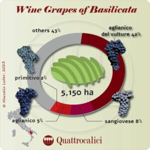 Wine Grapes of Basilicata