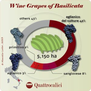 Wine Grapes of Basilicata