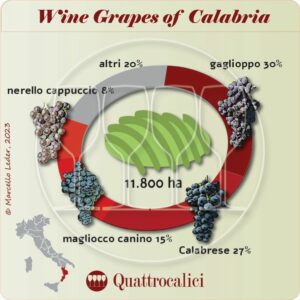 Wine Grapes of Calabria
