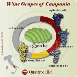 Campania's wine grapes