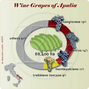 Apulia's wine grapes