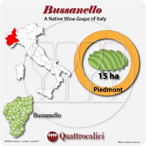 bussanello a native wine grape of Italy