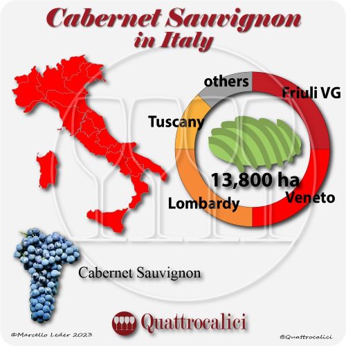 cabernet sauvignon in Italy