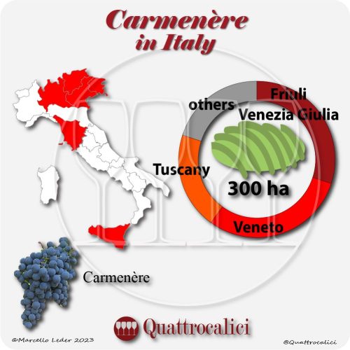 carmenere wine grape in Italy