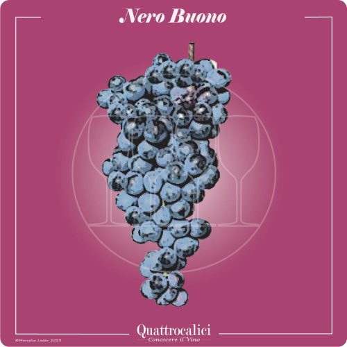 2023 Nero Buono Lazio IGT