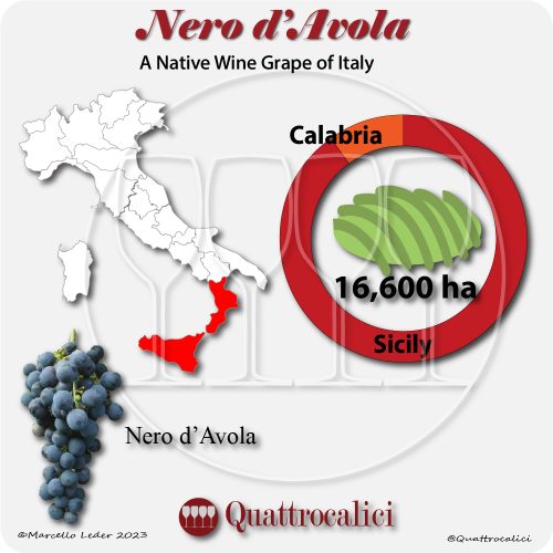 nero d'avola a native wine grape of Italy