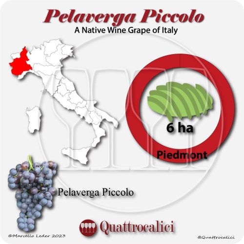 pelaverga piccolo a native wine grape of Italy