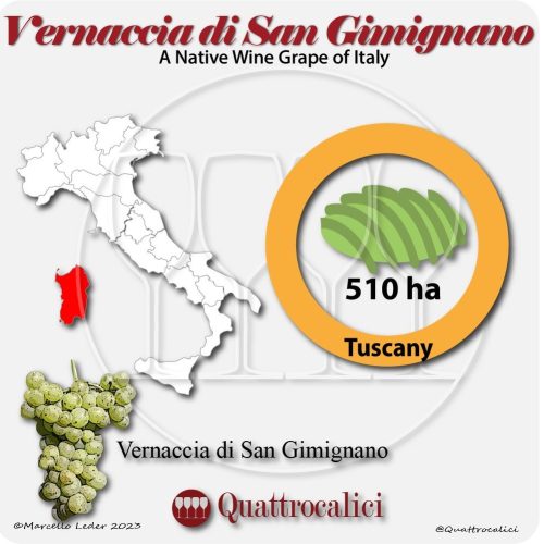 vernaccia di san gimignano a native wine grape of Italy